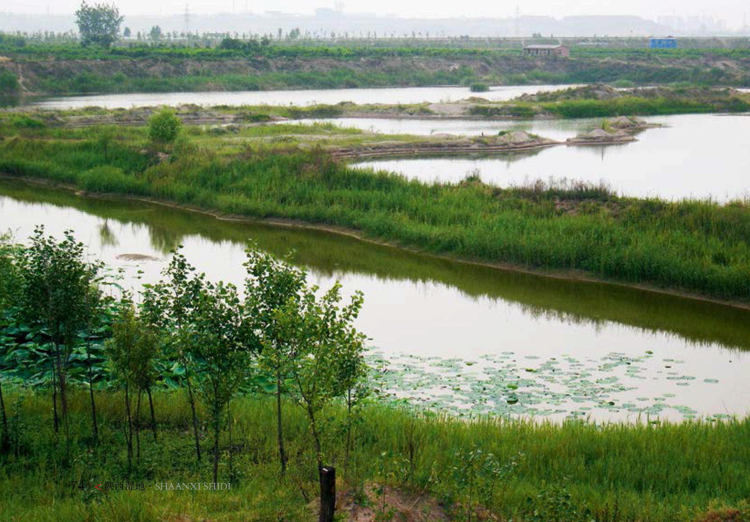 古都西安的城中濕地——西安浐灞國家濕地公園